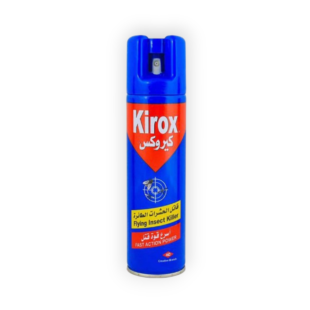 RAGON FLYING INSECT 300ML
