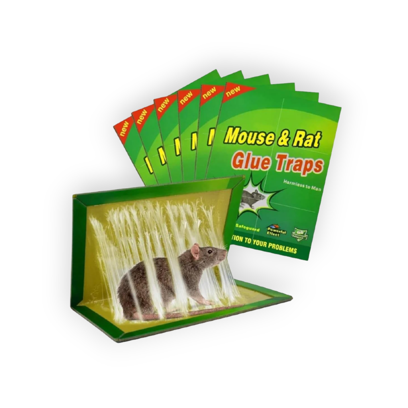 GREEN LIVE MOUSE RAT  (sticky book for mice)